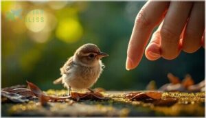 helping and protecting baby birds helping and protecting baby birds
