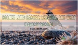 horned lark horned lark