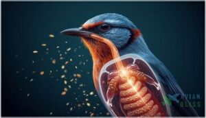 how do birds break down their food how do birds break down their food