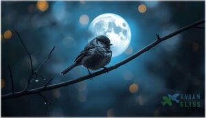 how do birds sleep without falling how do birds sleep without falling