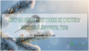 how do birds stay warm in winter how do birds stay warm in winter