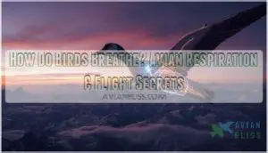 how does birds breathe how does birds breathe