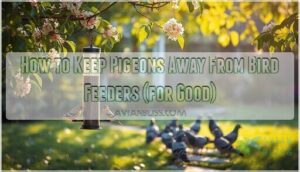 how to keep pigeons away from bird feeders how to keep pigeons away from bird feeders
