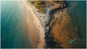 human impact and coastal conservation human impact and coastal conservation