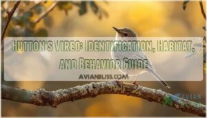 huttons vireo huttons vireo