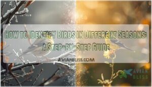 identifying birds different seasons