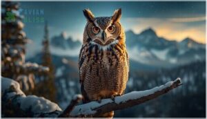 identifying colorado owls identifying colorado owls