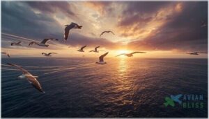 individual variation in gull migration individual variation in gull migration