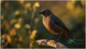 juvenile appearance and development juvenile appearance and development