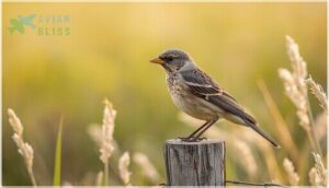 juvenile appearance and size juvenile appearance and size