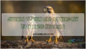 juvenile vs adult bird feathers