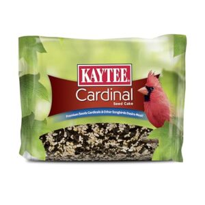 Kaytee Cardinal Seed Cake, Wild B0017JJKBS