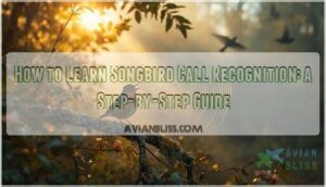 learn songbird call recognition learn songbird call recognition