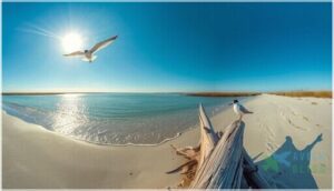 least tern habitat and distribution least tern habitat and distribution