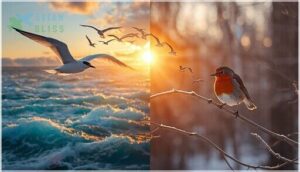 long-distance vs. short-distance migration long-distance vs. short-distance migration