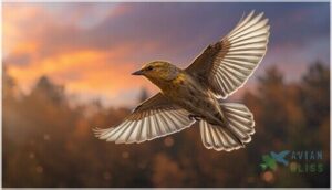 maintaining flight and insulation during molt maintaining flight and insulation during molt