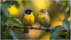 male vs female identification male vs female identification