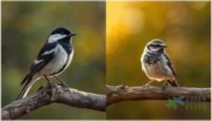 male vs. female characteristics male vs. female characteristics