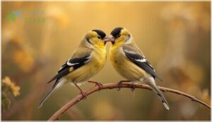 male vs. female plumage male vs. female plumage