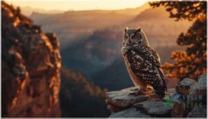 mexican spotted owl mexican spotted owl
