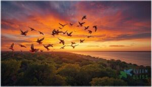 migration habits of orange and black birds migration habits of orange and black birds