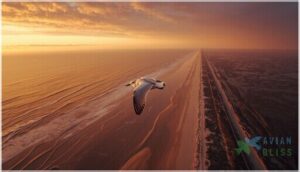 migration patterns and challenges migration patterns and challenges