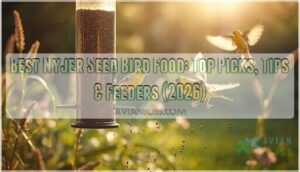 nyjer seed bird food nyjer seed bird food