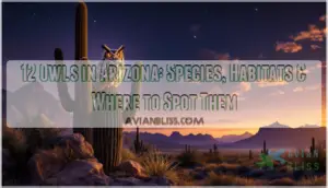 owls in arizona owls in arizona