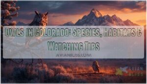 owls in colorado owls in colorado
