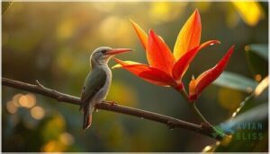 pale-billed flowerpecker (dicaeum erythrorhynchos) pale-billed flowerpecker (dicaeum erythrorhynchos)