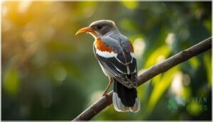 plumage color and pattern plumage color and pattern