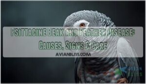 psittacine beak and feather disease psittacine beak and feather disease