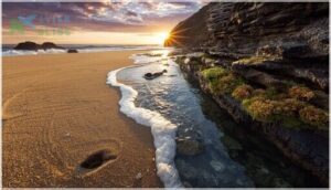 sandy beaches and rocky shores sandy beaches and rocky shores