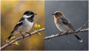 seasonal plumage changes seasonal plumage changes