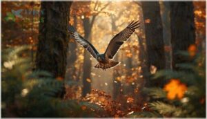 sharp-shinned hawk sharp-shinned hawk