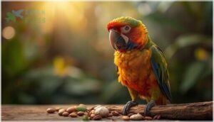 signs your bird may need supplements signs your bird may need supplements