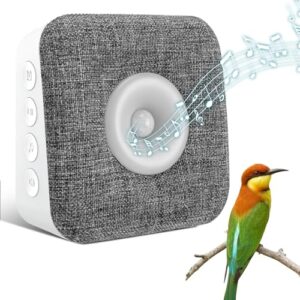 Singing Bird Box, Nature Sound B0FLJGW3RQ