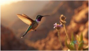 size and body structure size and body structure