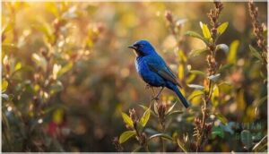 size, shape, and physical measurements size, shape, and physical measurements