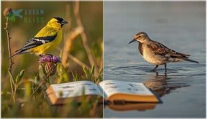 songbirds and shorebirds songbirds and shorebirds