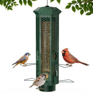 Squirrel Proof Bird Feeders, Bird B0FKBHZNKH