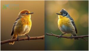 subspecies and regional variations subspecies and regional variations