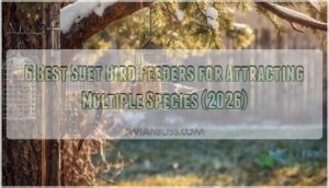 suet bird feeders for attracting multiple species