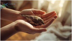 support the bird’s body and wings support the bird’s body and wings