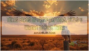 texas birds of prey texas birds of prey