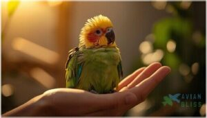 treatment and supportive care for pbfd treatment and supportive care for pbfd