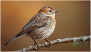 typical colors and patterns typical colors and patterns