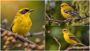 unique markings by species unique markings by species