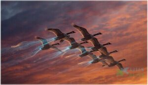 upwash and downwash explained upwash and downwash explained