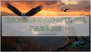 virginia birds of prey virginia birds of prey
